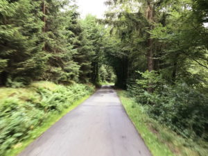 Geteerter Weg durch den Wald